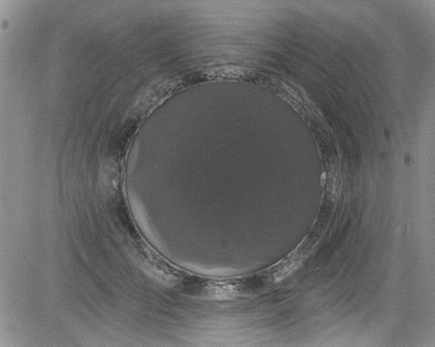 X0000084050701200703022215