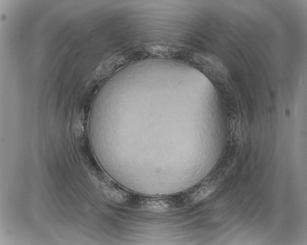 X0000084050702200703022215