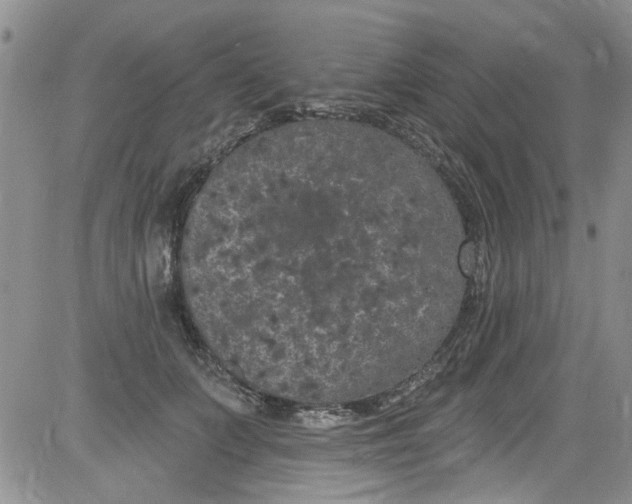 X0000084050703200703022215