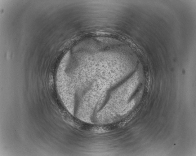 X0000084050704200703022215