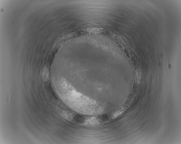 X0000084050705200703022215