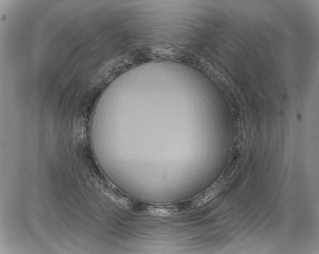 X0000084050706200703022215