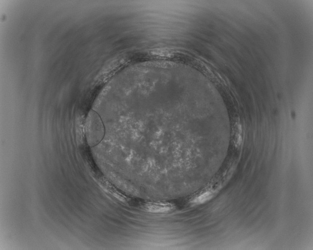 X0000084050707200703022215