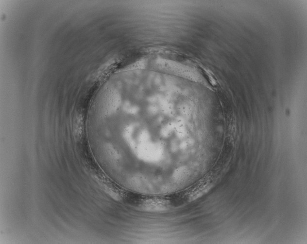 X0000084050708200703022215