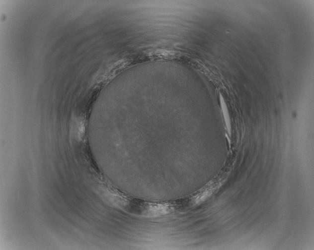 X0000084050709200703022215