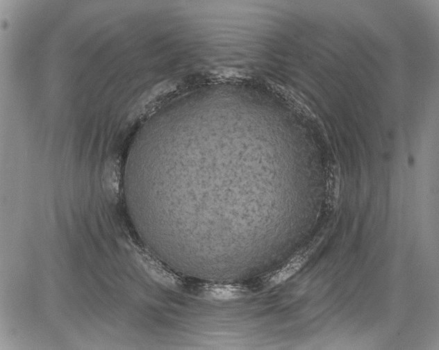 X0000084050710200703022215