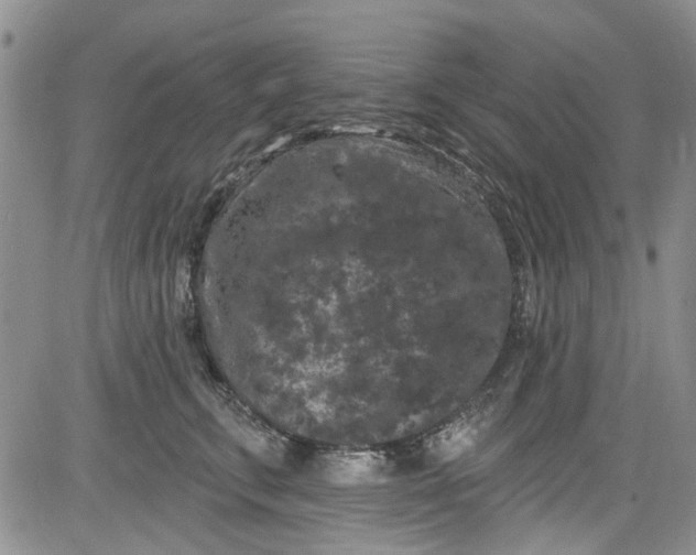 X0000084050711200703022215