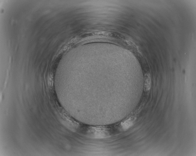 X0000084050713200703022215