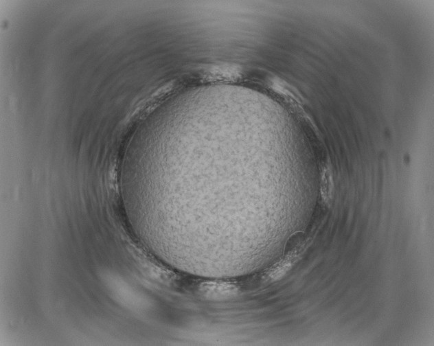 X0000084050714200703022215