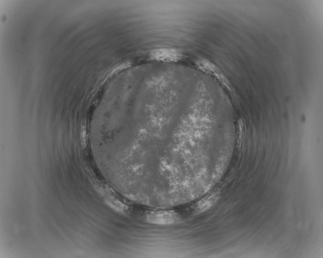 X0000084050716200703022215