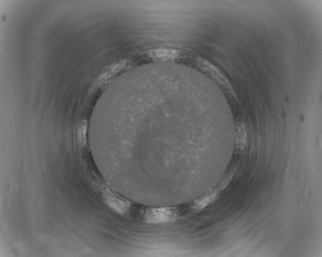 X0000084050717200703022215