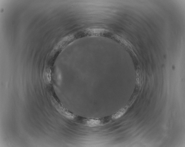 X0000084050718200703022215