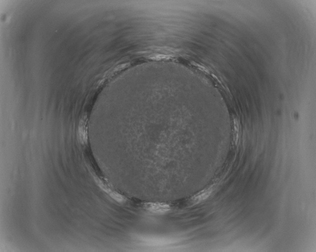 X0000084050719200703022215