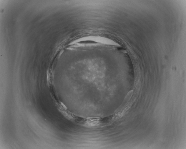 X0000084050720200703022214