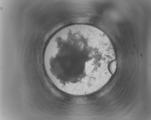 X0000084050721200703022214