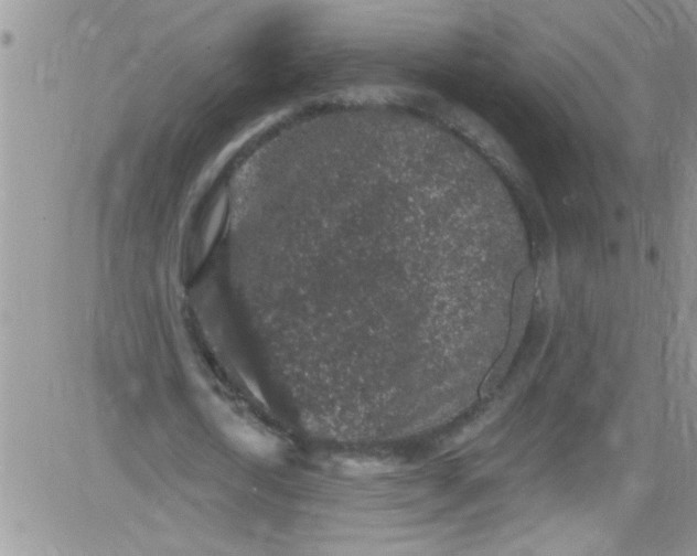 X0000084050722200703022214