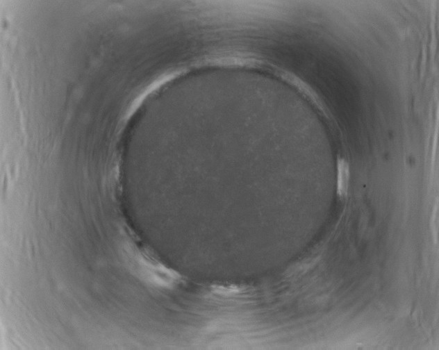 X0000084050723200703022214