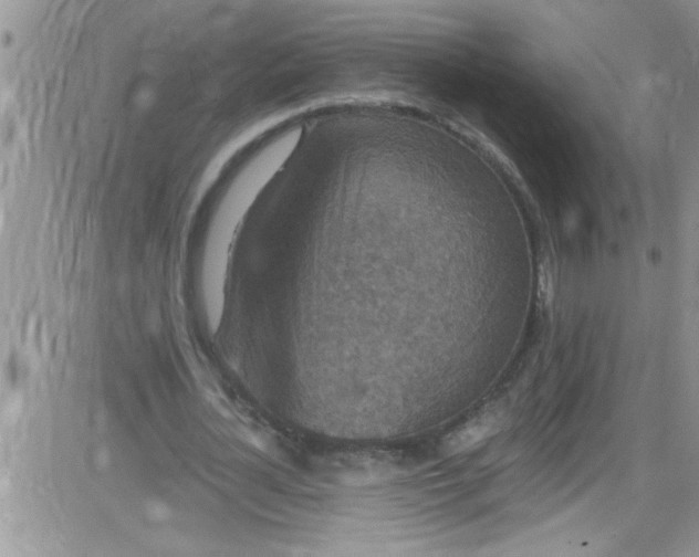 X0000084050724200703022214