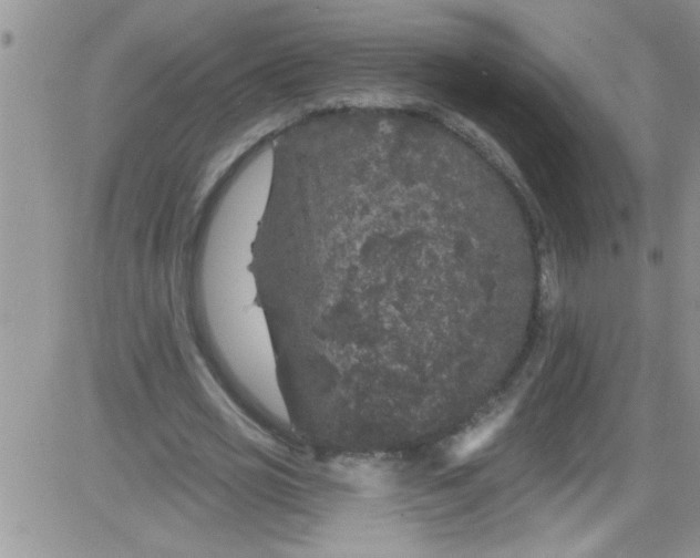 X0000084050725200703022214