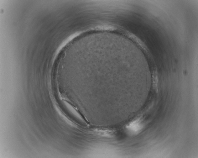 X0000084050726200703022214