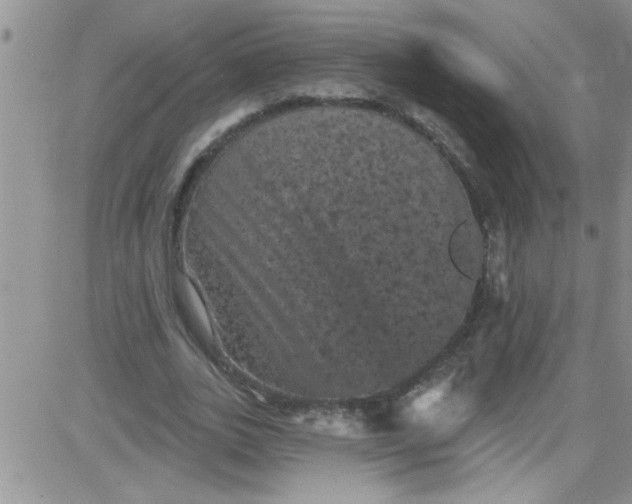 X0000084050727200703022214