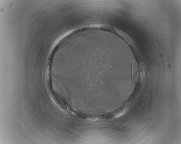 X0000084050728200703022214