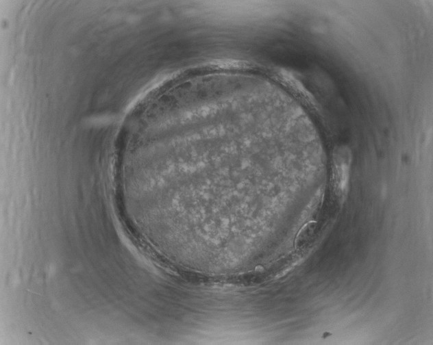 X0000084050730200703022214