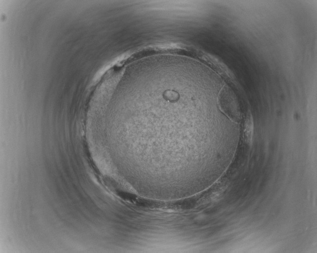 X0000084050732200703022214