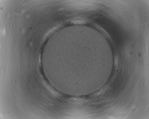 X0000084050733200703022214