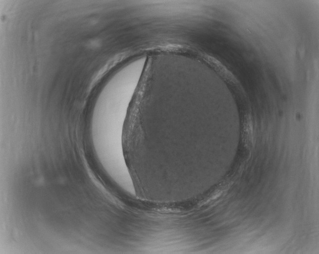 X0000084050734200703022214