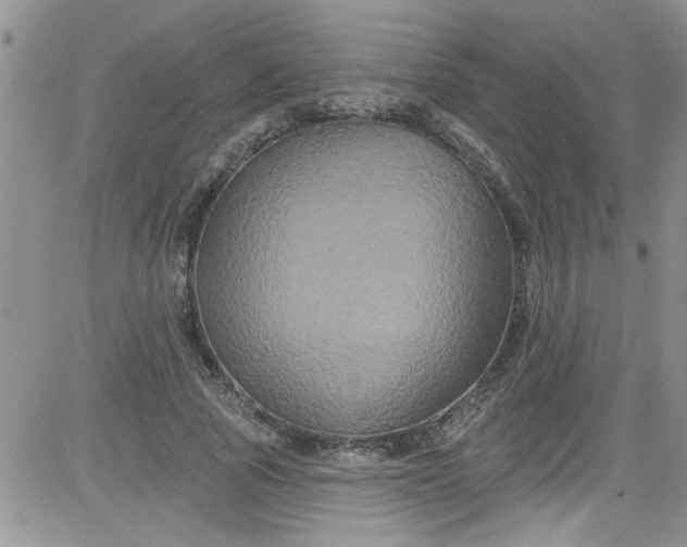 X0000084050737200703022214