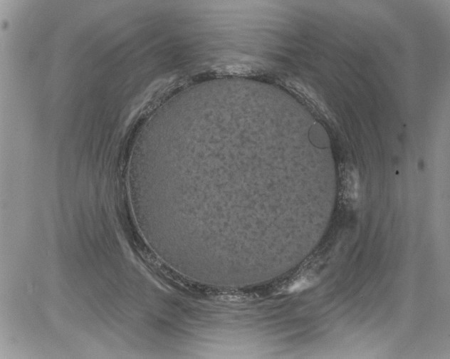 X0000084050738200703022214