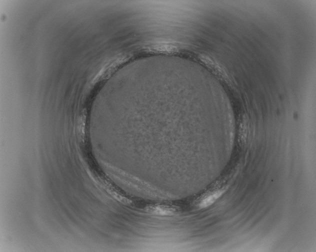 X0000084050739200703022214