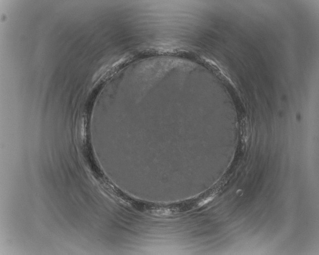 X0000084050740200703022214