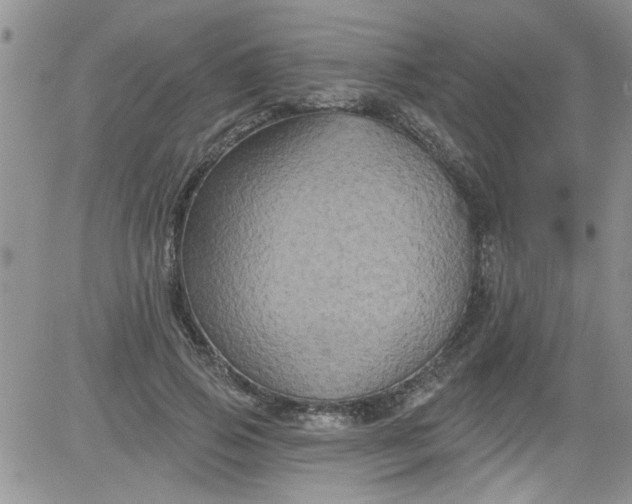 X0000084050741200703022214