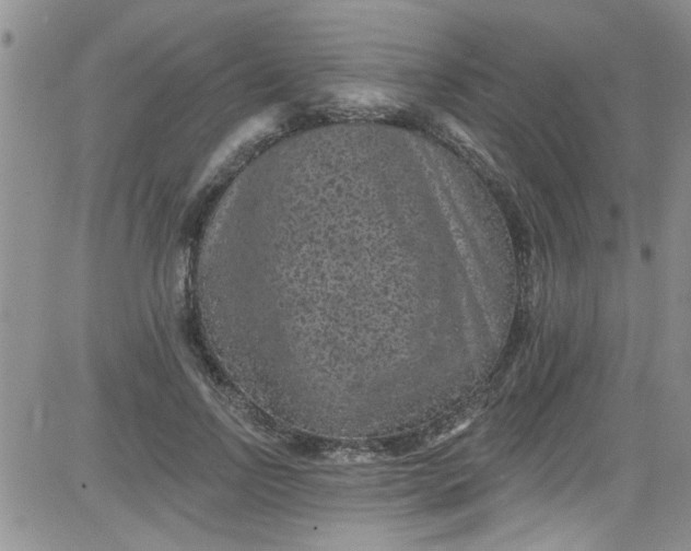 X0000084050742200703022214