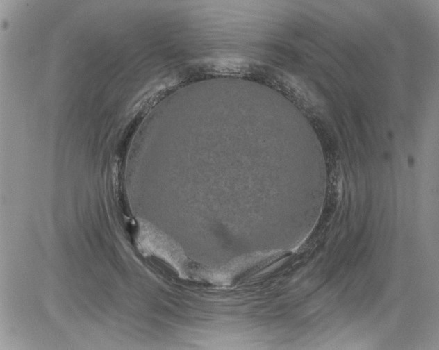 X0000084050744200703022214