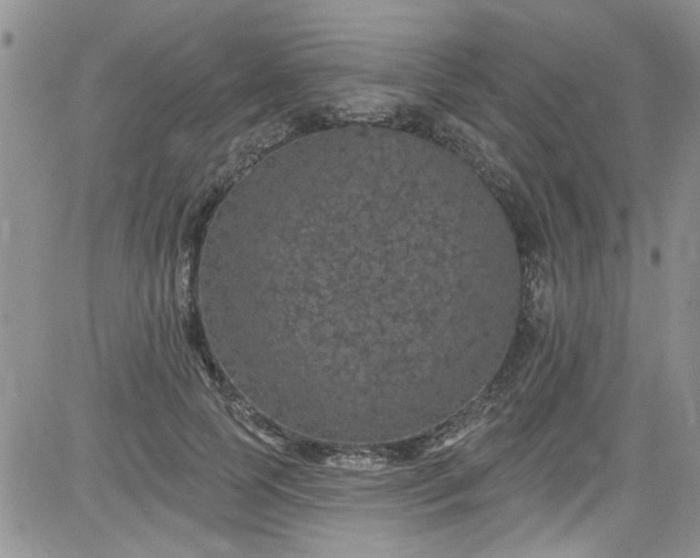 X0000084050745200703022214