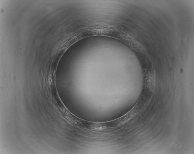 X0000084050746200703022214