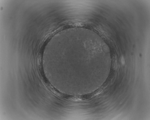 X0000084050747200703022214