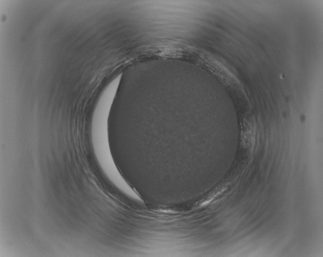 X0000084050748200703022214