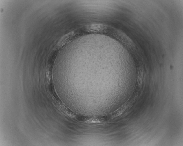 X0000084050749200703022214