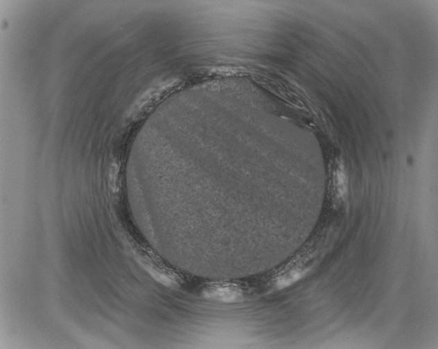 X0000084050750200703022214