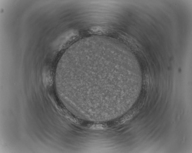 X0000084050751200703022214