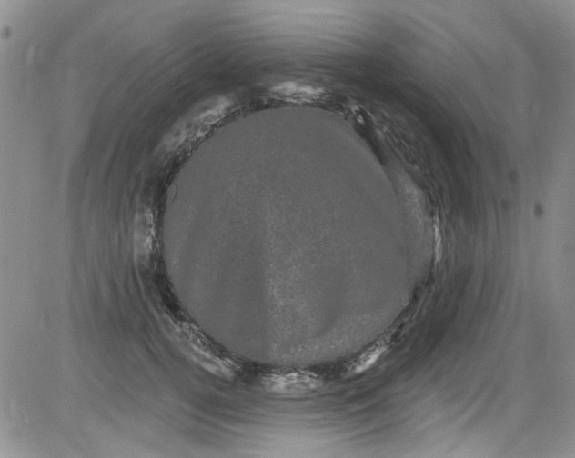 X0000084050752200703022214