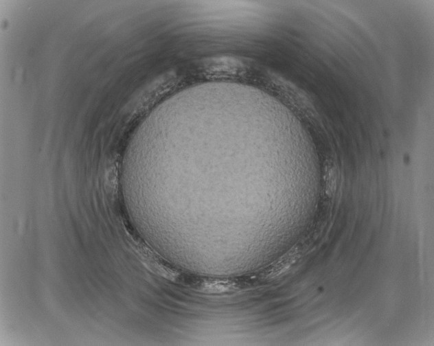 X0000084050753200703022214