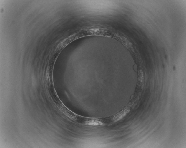 X0000084050754200703022214