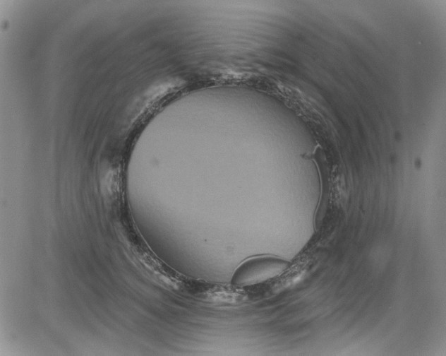 X0000084050756200703022214