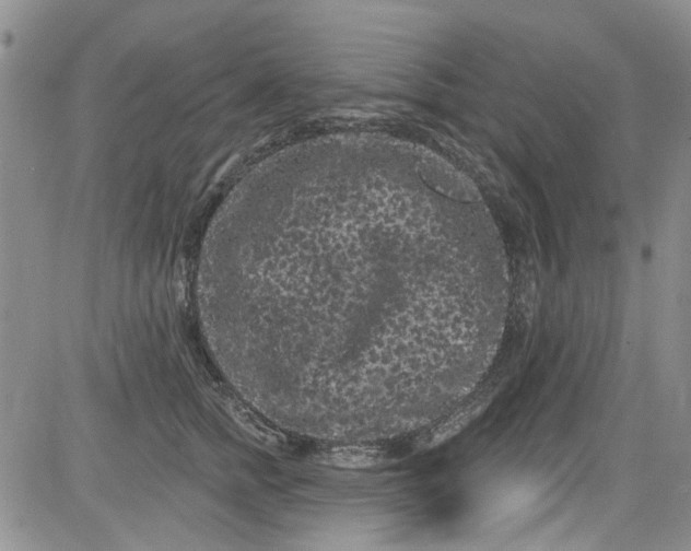 X0000084050758200703022214