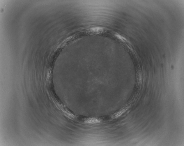 X0000084050759200703022214